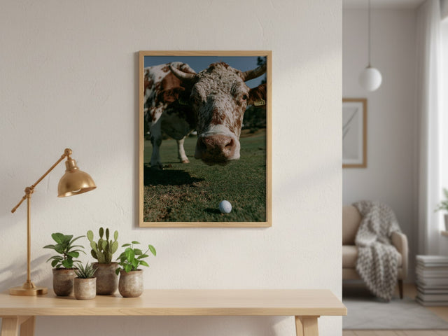 This your ball? lifestyle mockup — 96e388c7-90b5-47c8-a3b9-8185ab7b30ea