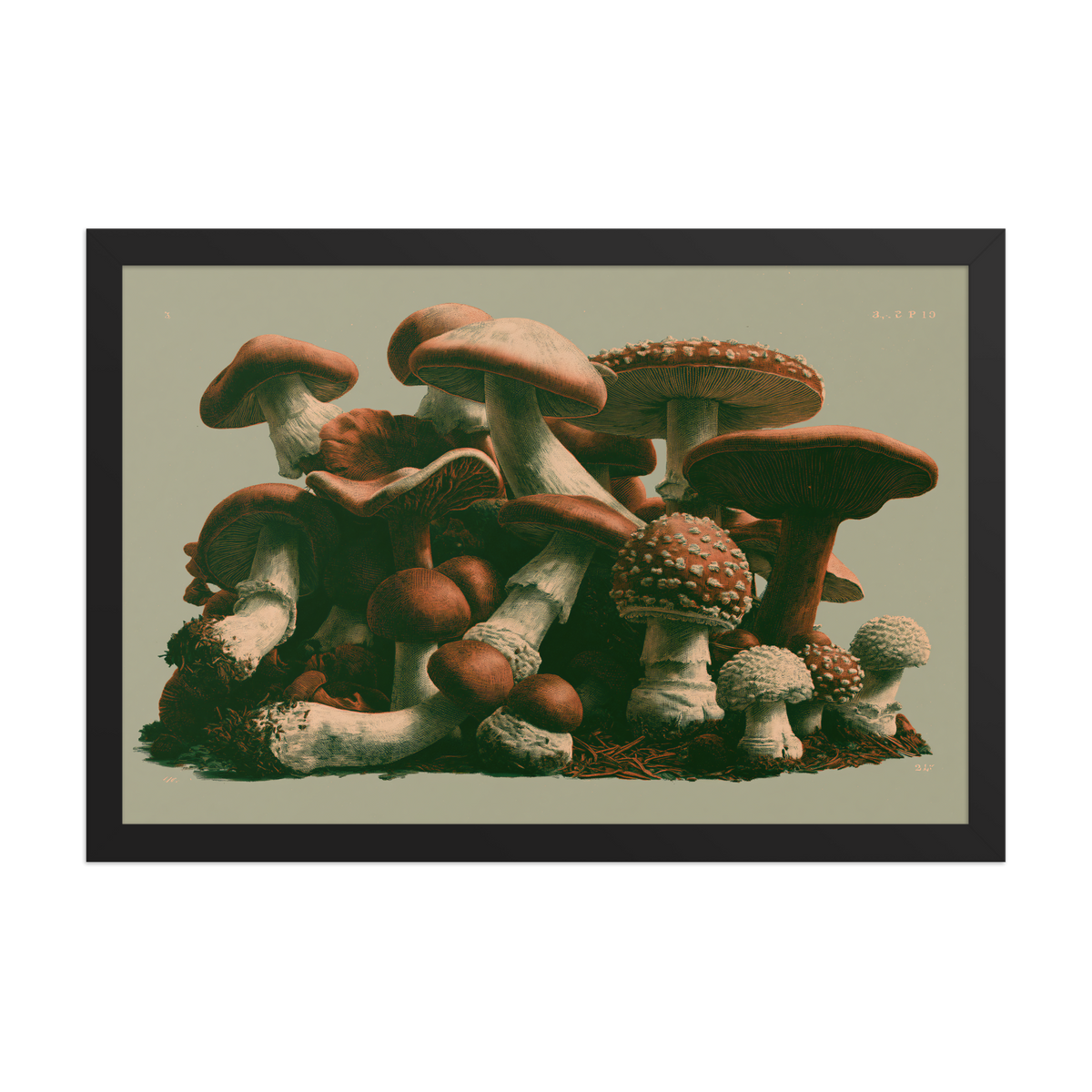 Field Guide framed art in black frame, 12×18 inches
