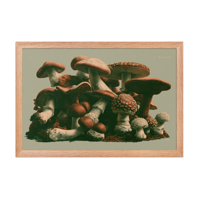 Field Guide framed art in red oak frame, 12×18 inches