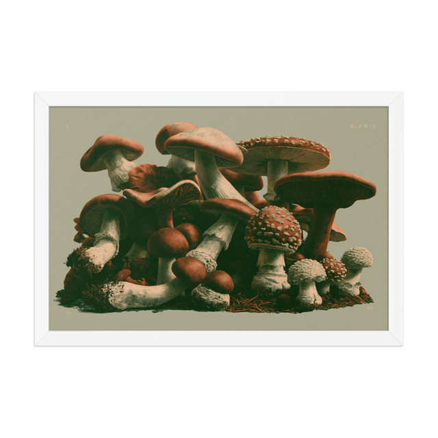 Field Guide framed art in white frame, 12×18 inches