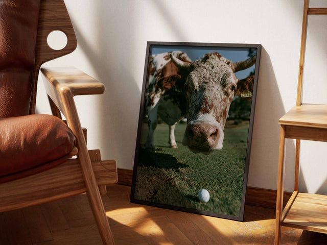 This your ball? lifestyle mockup — temp-1763649147204